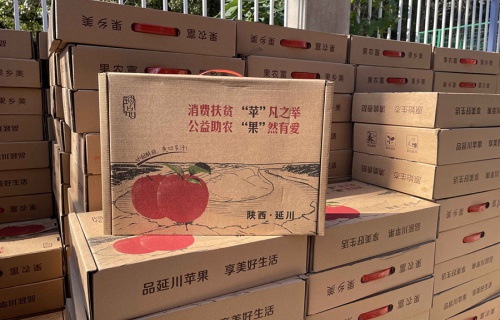 完美世界竞技“扶贫助农，振兴乡村”活动